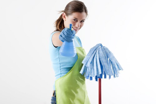 Professional carpet cleaning in a Crouch End home