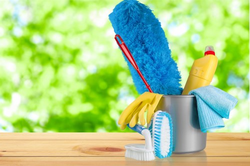 Carpet cleaner preparing safe cleaning equipment before work