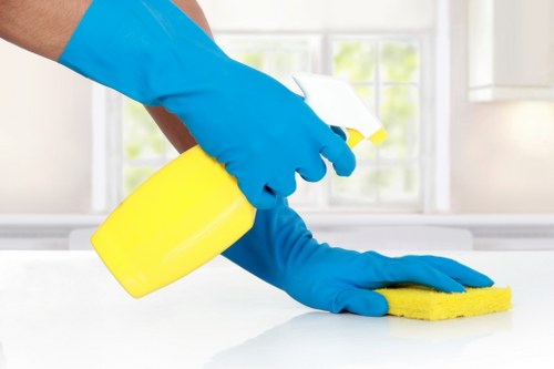 SSL encryption protecting carpet cleaners payment details