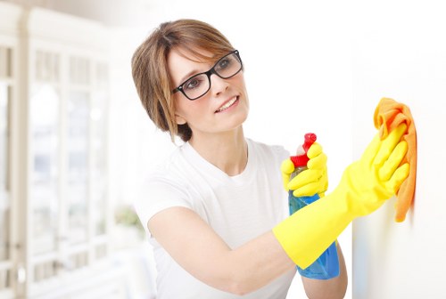 Deep carpet cleaning equipment used in a Crouch End property