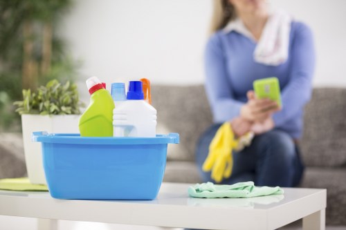 Fresh and clean home after pet stain odour removal