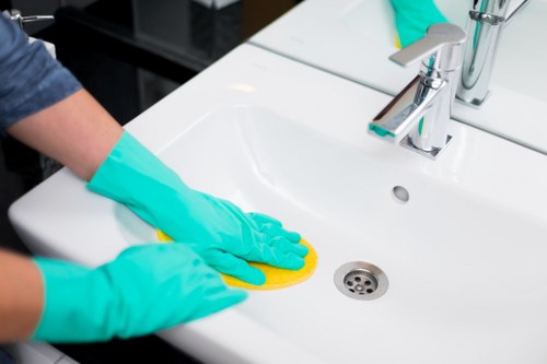 Enzyme cleaning solution used for pet accident removal