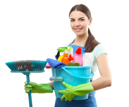 Professional carpet maintenance in a Crouch End office setting
