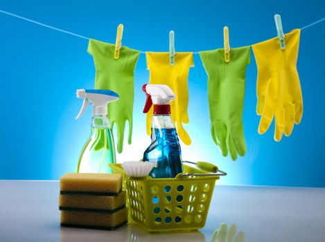 Close-up of fabric care during upholstery cleaning in Crouch End