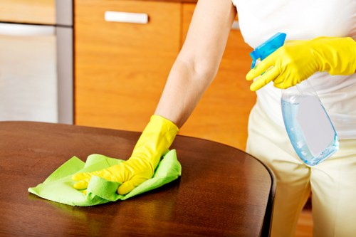 Final legal terms section for carpet cleaning services